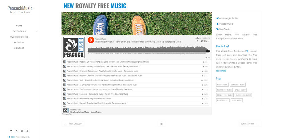 Strona www zaprojektowana dla PeacockMusic