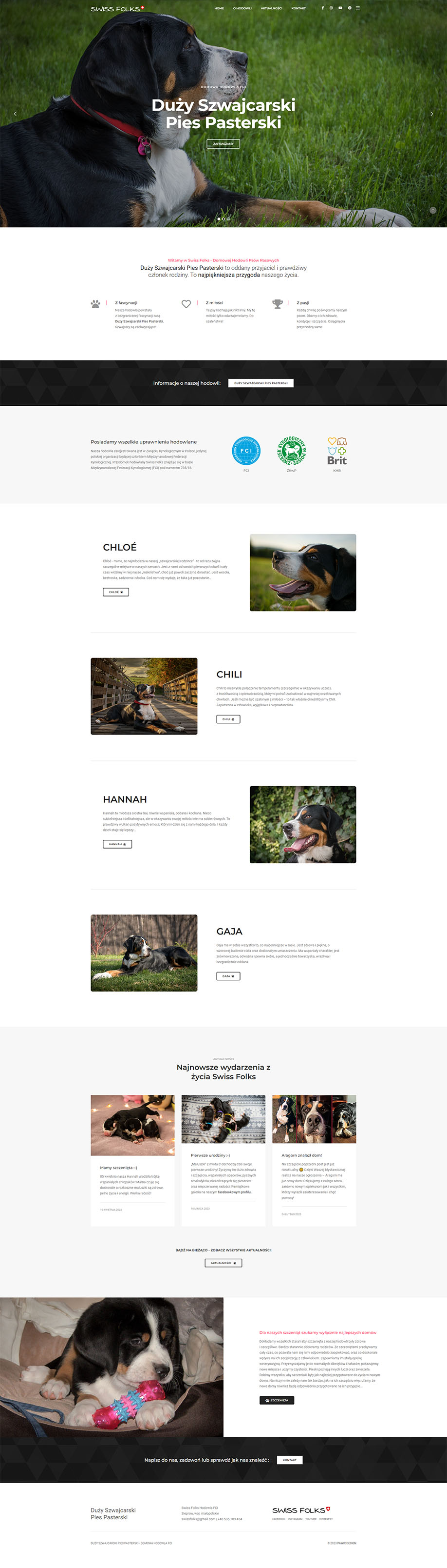 Strona internetowa Swiss Folks